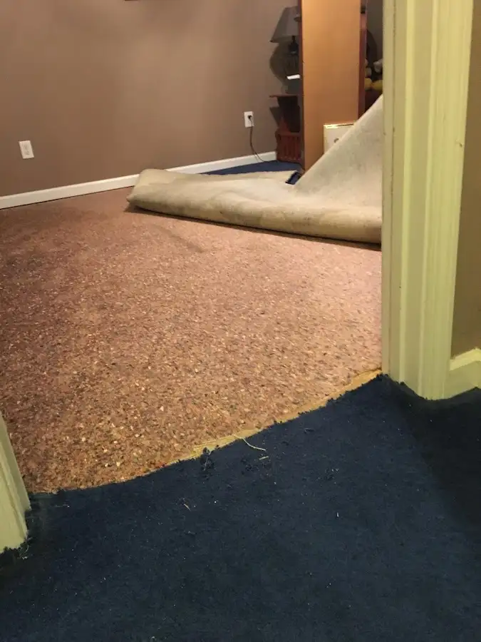 Carpet pad removal revealing water damage during Drying & Dehumidification in Kenwood