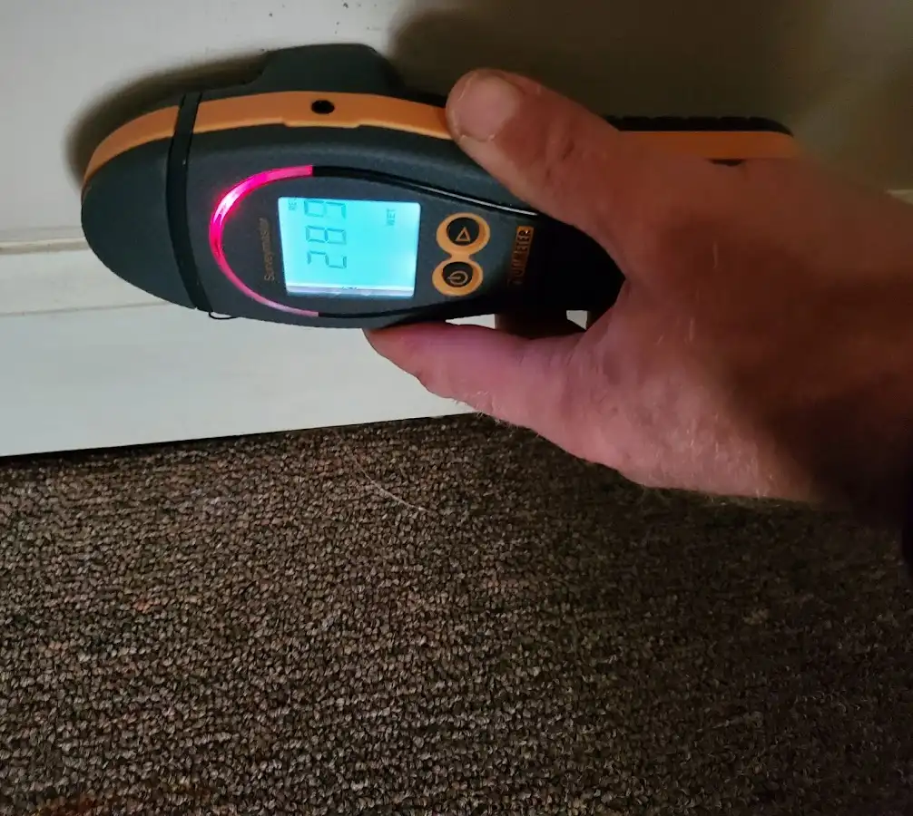 Moisture detection at baseboard during Mold Inspection & Testing in Kenwood